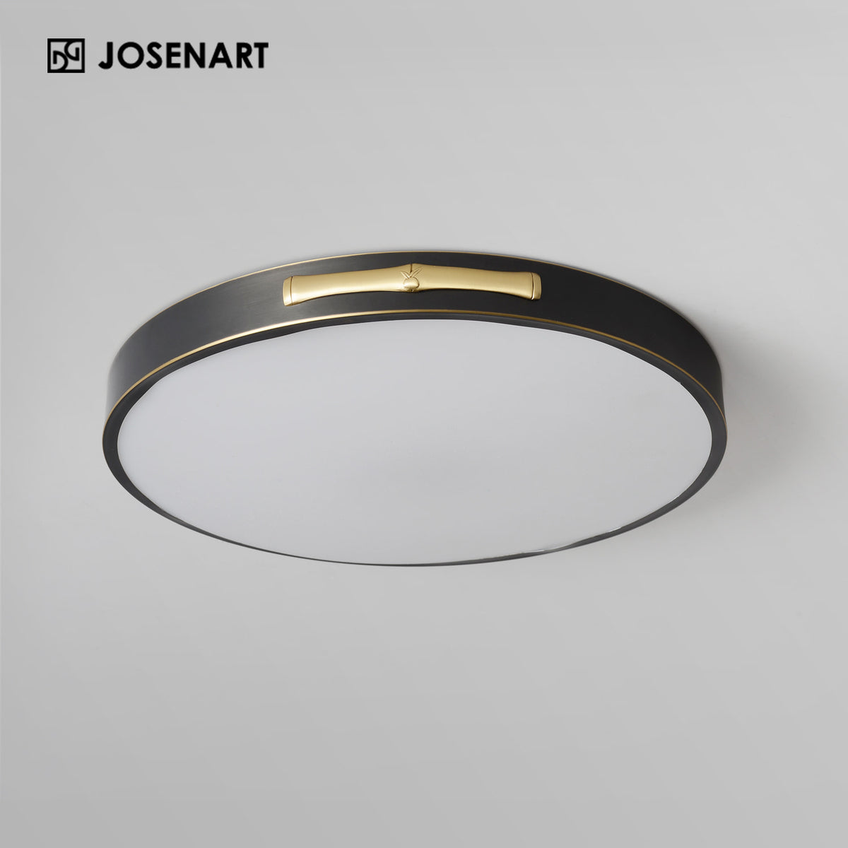 led ceiling fixture