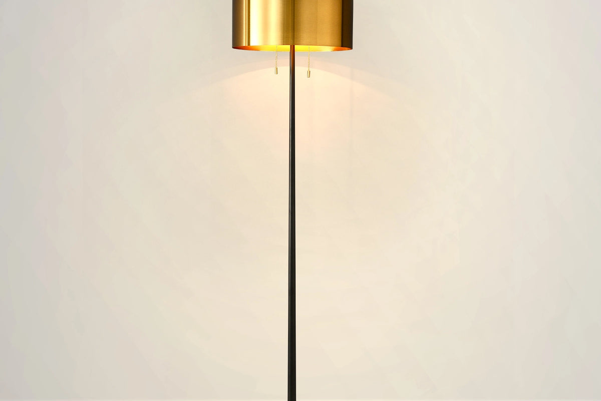 Introduction to Black Metal Modern Floor Lamps for Living Room