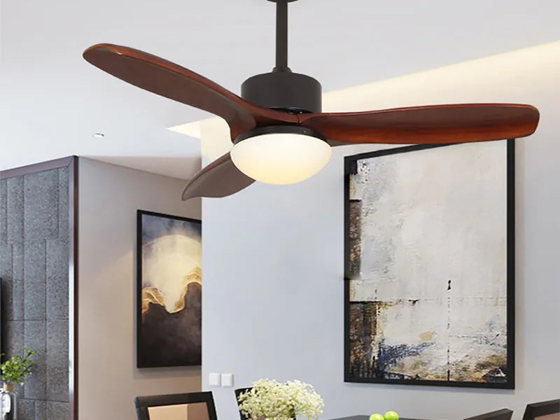Ceiling Lights & Fans