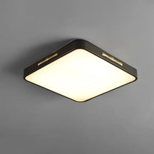 LED Ceiling Lights