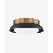 Two-Light Glossy Shade and Brass Flush Mount Ceiling Light