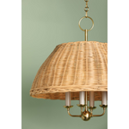 Arwen Chandelier — Organic Branch Multi-Arm Ceiling Light