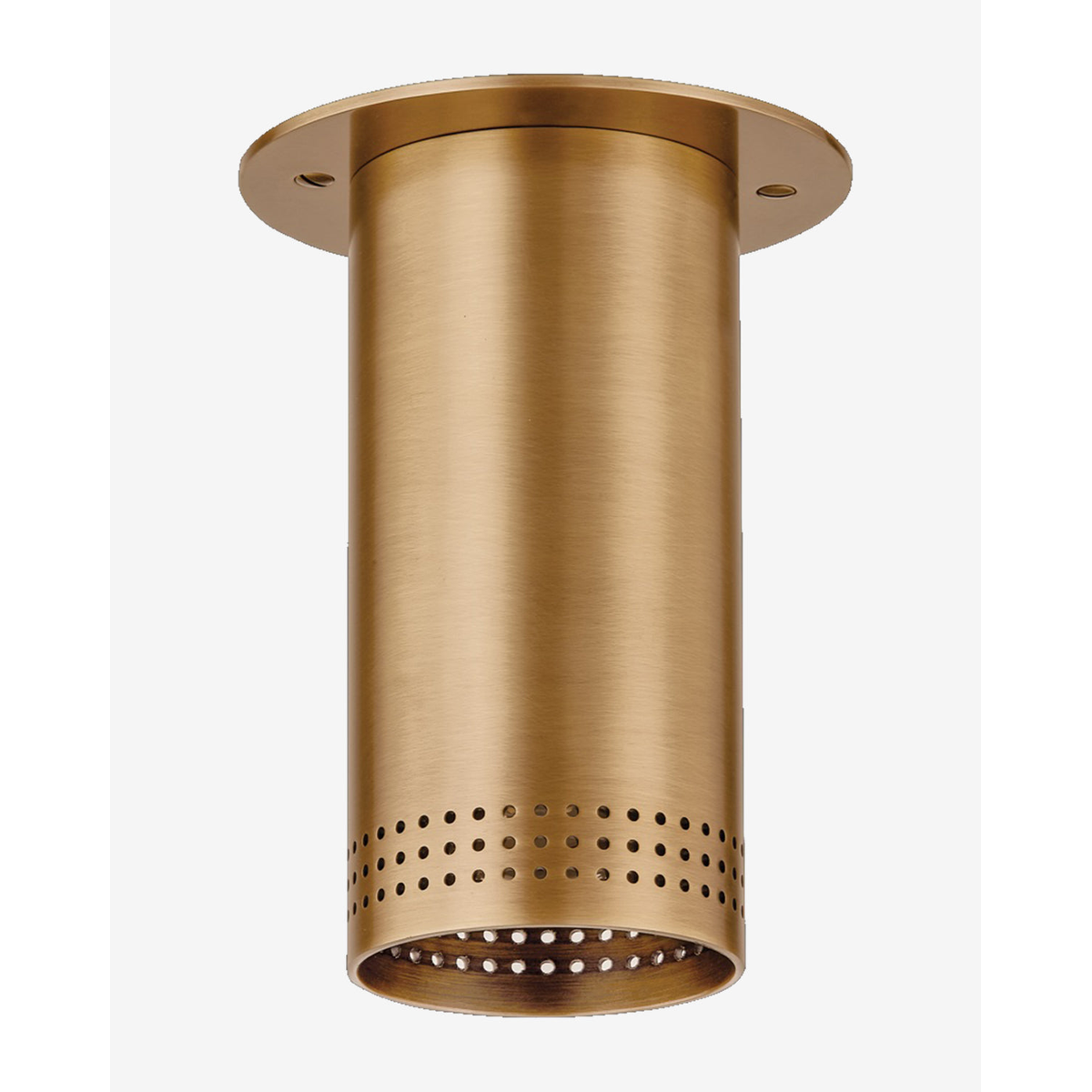 Troy Lighting Berg Flush Mount - Designer Perforated Steel Downlight