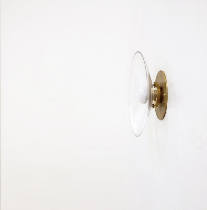 wall sconce with light