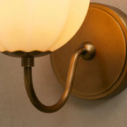 agnes gooseneck sconce
