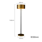 black brass floor lamp