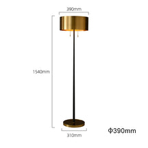 black brass floor lamp