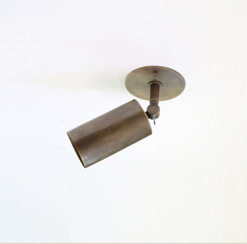 brass spot ceiling light