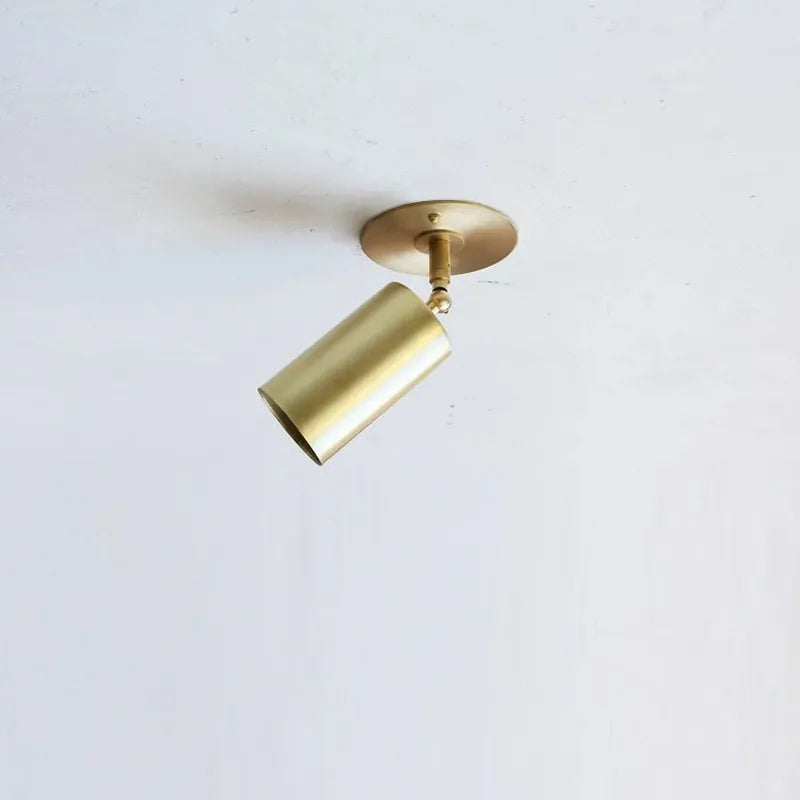 copper spot ceiling light