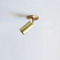 copper spot ceiling light