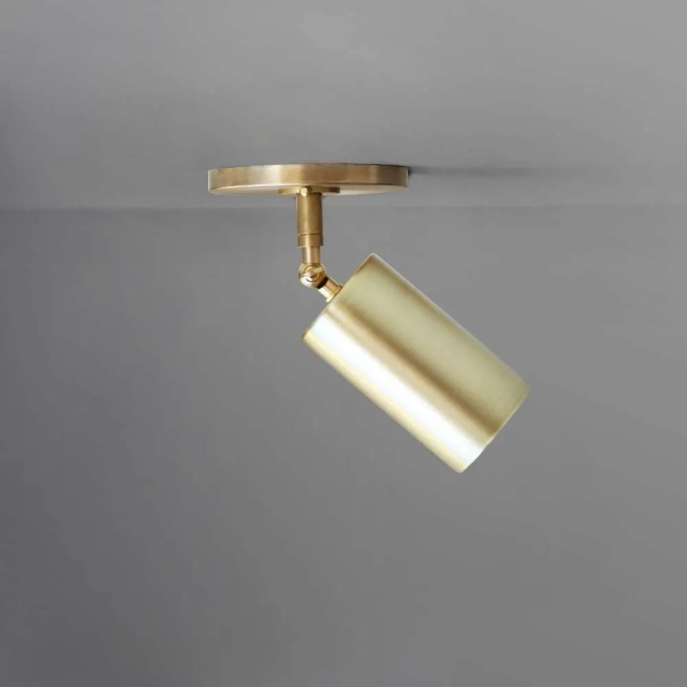 brass spot ceiling lamp