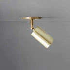 brass spot ceiling lamp