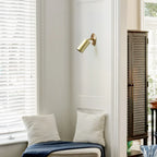classic brass spot ceiling light