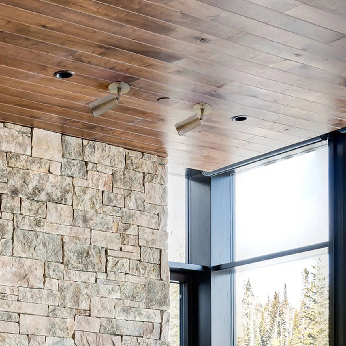 directional lighting spot ceiling light