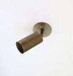 brass spot ceiling light