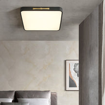 LED Ceiling Lights