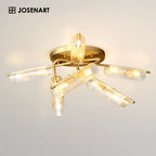 Living Room Ceiling Light
