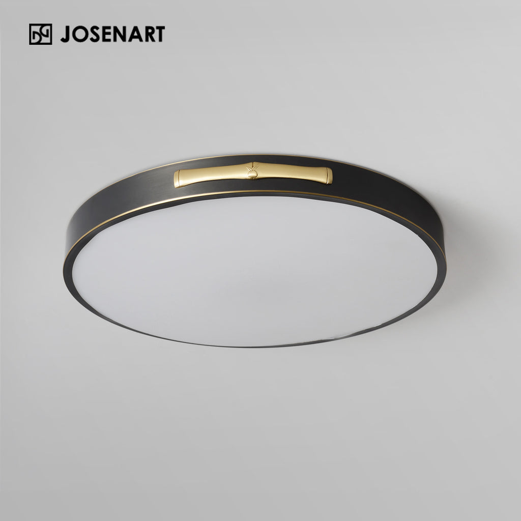 led ceiling fixture
