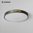 led ceiling fixture