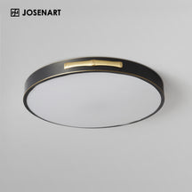 led ceiling fixture