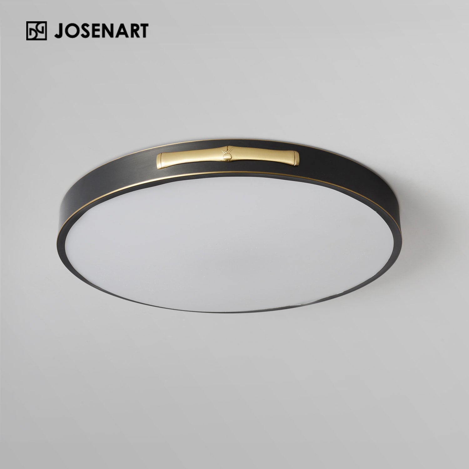 led ceiling fixture