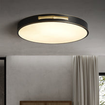 ceiling light with led