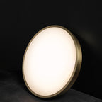 round led fixture