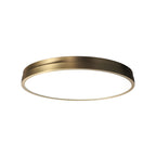 led ceiling light