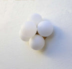 opal glass wall sconce