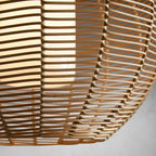 cohen globe outdoor pendant
