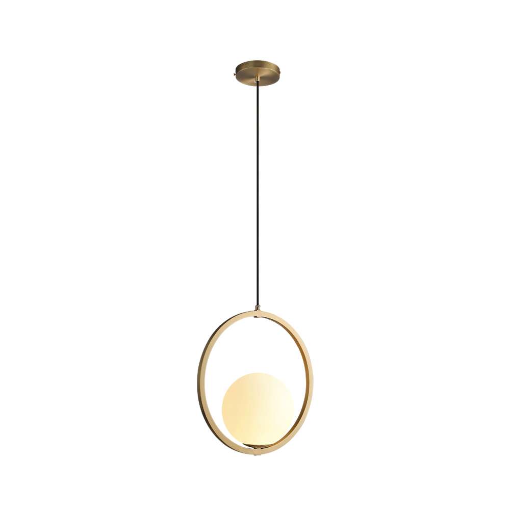 sleek globe pendant light fixture