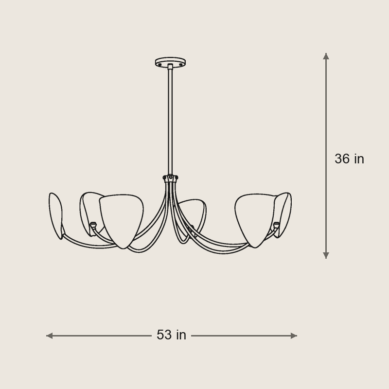 Brevin Antique Brass Petal Shade Chandelier 6-Light — Dimensions: 53 in diameter, 36 in height, 26 in chain, cut to length, 15 lb weight