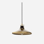 Milivia Clear Glass Dome Pendant Light — Transparent Dome Hanging Light