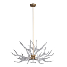 unique antler chandelier