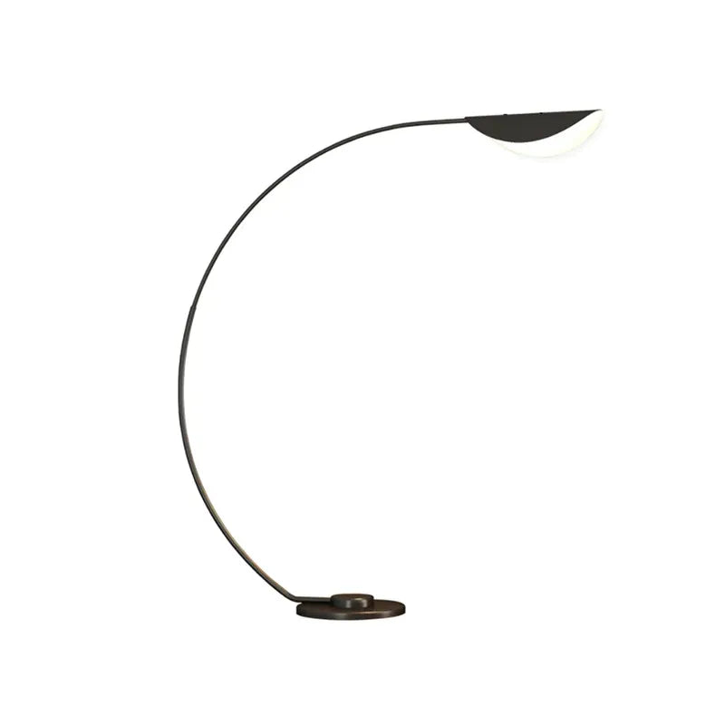 black floor lamp