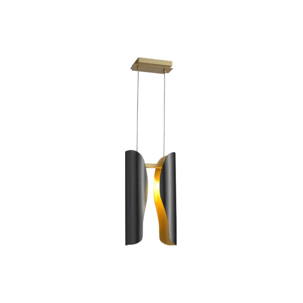 modern 2-light brass pendant