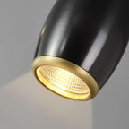 minimalist chandelier in black