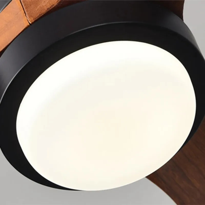 ceiling fan light