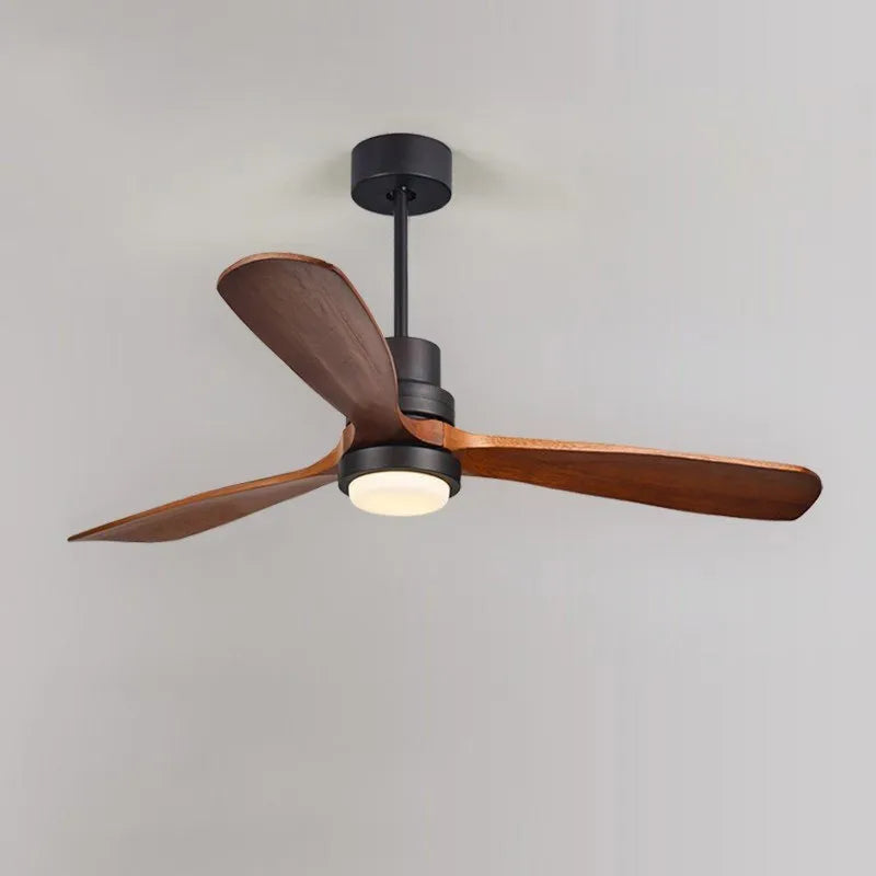 modern ceiling fan