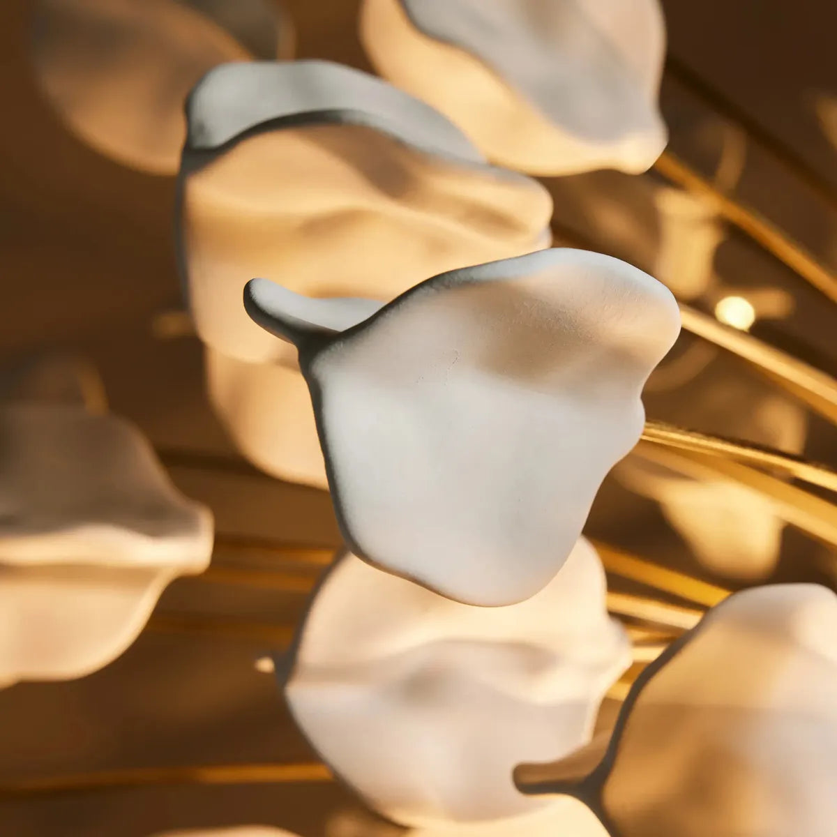 lunaria chandelier
