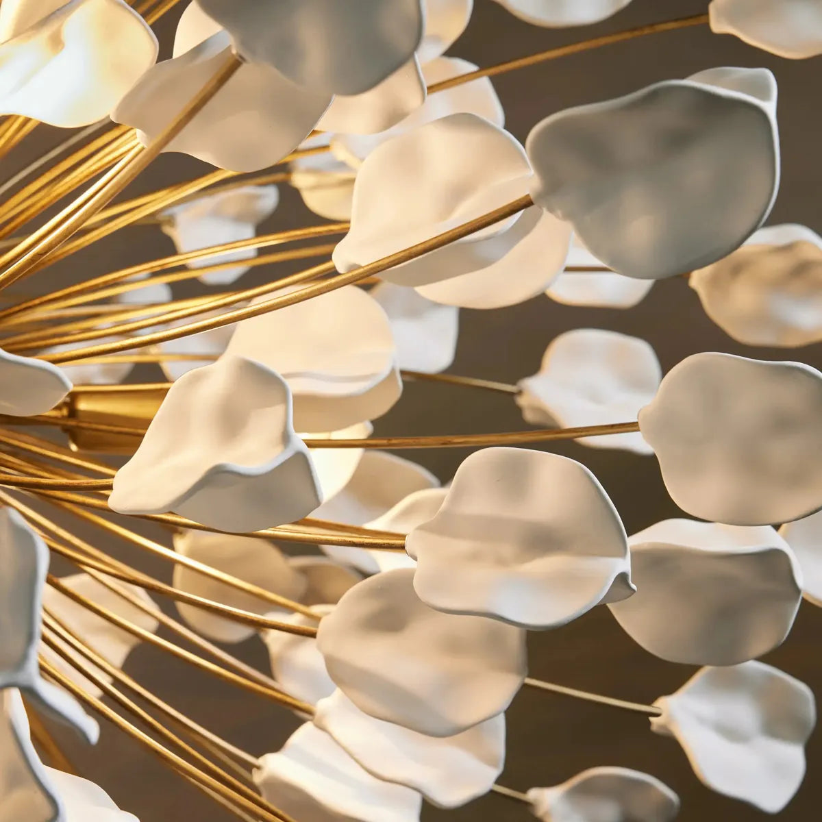 lunaria chandelier