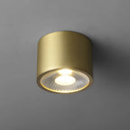 led brass flush mount ceiling light