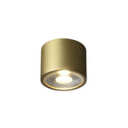 sleek brass flush mount lights