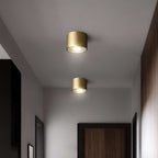 modern brass flush mount light