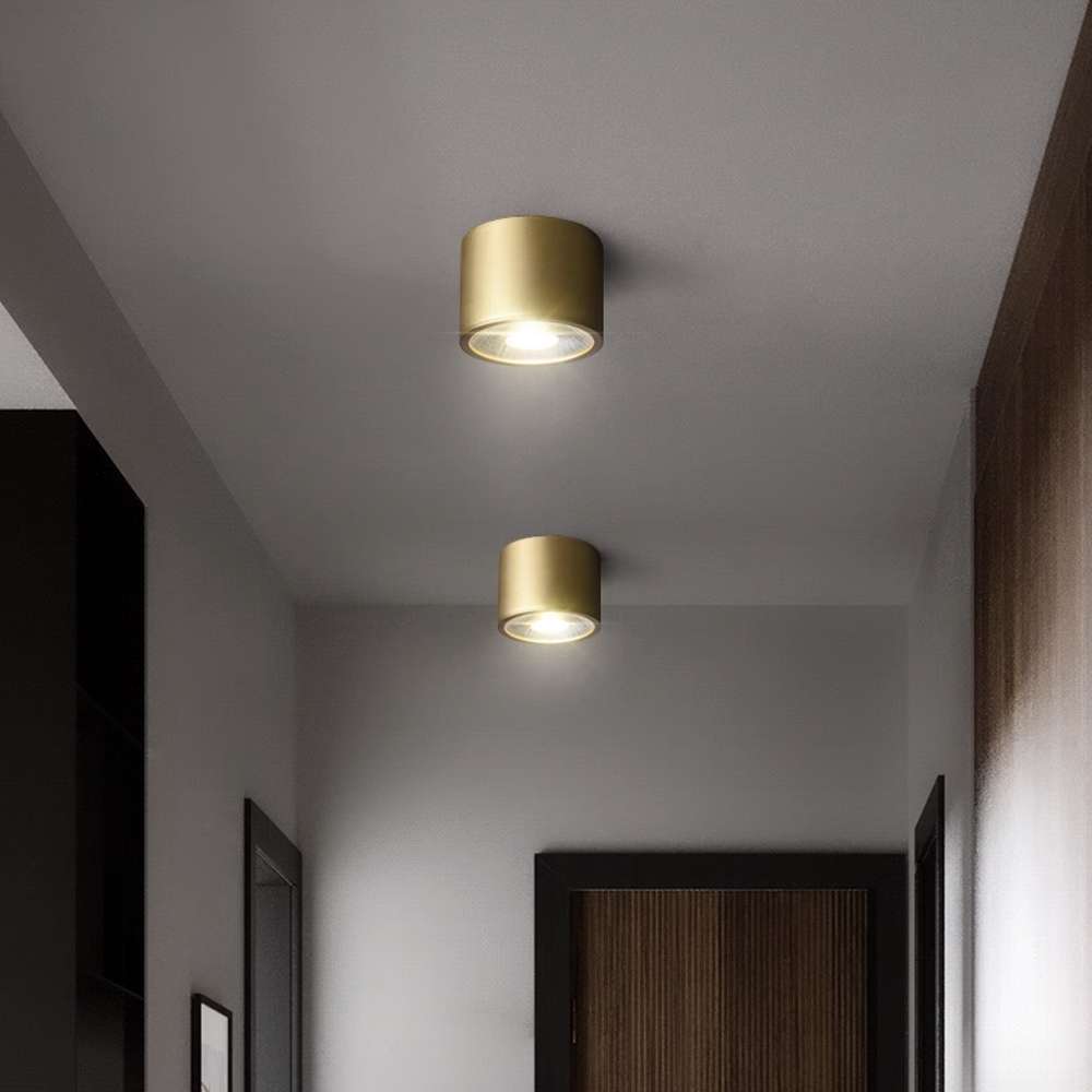 modern brass flush mount light