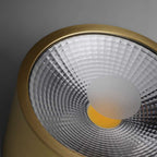 led globe ceiling lights