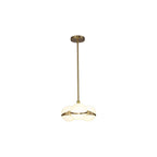 glass globe chandelier