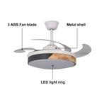 dimmable ceiling fan light