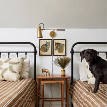 Novel Sconce — Sculptural Contemporary Wall Light