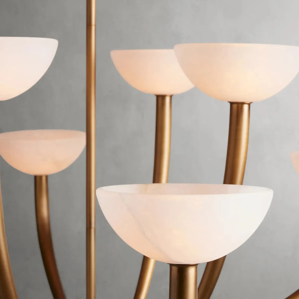 saguaro chandelier